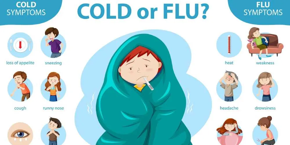 Cold & Flu
